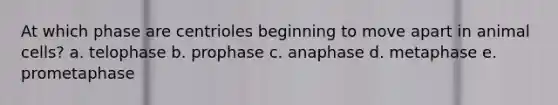 At which phase are centrioles beginning to move apart in animal cells? a. telophase b. prophase c. anaphase d. metaphase e. prometaphase