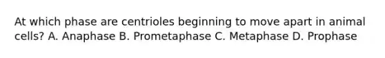 At which phase are centrioles beginning to move apart in animal cells? A. Anaphase B. Prometaphase C. Metaphase D. Prophase