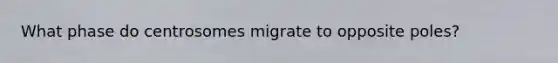 What phase do centrosomes migrate to opposite poles?