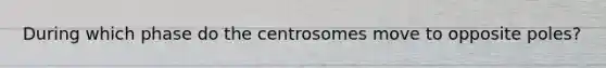 During which phase do the centrosomes move to opposite poles?