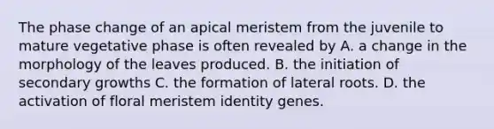 The phase change of an apical meristem from the juvenile to mature vegetative phase is often revealed by A. a change in the morphology of the leaves produced. B. the initiation of secondary growths C. the formation of lateral roots. D. the activation of floral meristem identity genes.