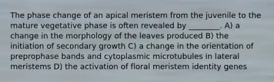 The phase change of an apical meristem from the juvenile to the mature vegetative phase is often revealed by ________. A) a change in the morphology of the leaves produced B) the initiation of secondary growth C) a change in the orientation of preprophase bands and cytoplasmic microtubules in lateral meristems D) the activation of floral meristem identity genes