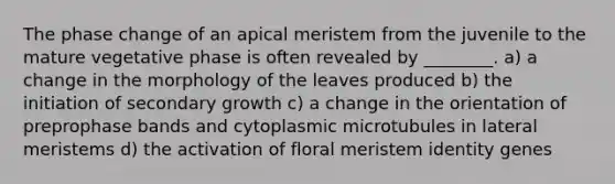 The phase change of an apical meristem from the juvenile to the mature vegetative phase is often revealed by ________. a) a change in the morphology of the leaves produced b) the initiation of secondary growth c) a change in the orientation of preprophase bands and cytoplasmic microtubules in lateral meristems d) the activation of floral meristem identity genes