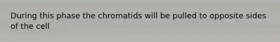 During this phase the chromatids will be pulled to opposite sides of the cell