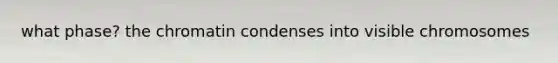 what phase? the chromatin condenses into visible chromosomes