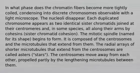 In what phase does the chromatin fibers become more tightly coiled, condensing into discrete chromosomes observable with a light microscope. The nucleoli disappear. Each duplicated chromosome appears as two identical sister chromatids joined at their centromeres and, in some species, all along their arms by cohesins (sister chromatid cohesion). The mitotic spindle (named for its shape) begins to form. It is composed of the centrosomes and the microtubules that extend from them. The radial arrays of shorter microtubules that extend from the centrosomes are called asters ("stars"). The centrosomes move away from each other, propelled partly by the lengthening microtubules between them.