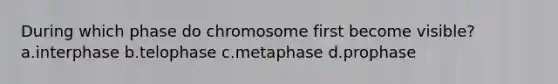 During which phase do chromosome first become visible? a.interphase b.telophase c.metaphase d.prophase