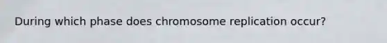 During which phase does chromosome replication occur?