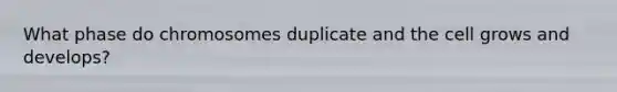 What phase do chromosomes duplicate and the cell grows and develops?