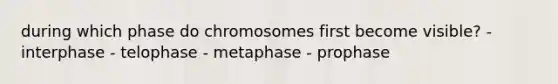 during which phase do chromosomes first become visible? - interphase - telophase - metaphase - prophase