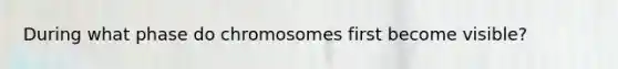 During what phase do chromosomes first become visible?