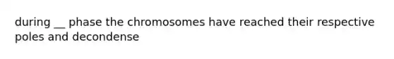 during __ phase the chromosomes have reached their respective poles and decondense