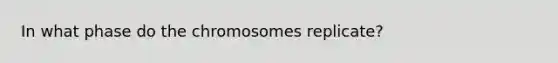 In what phase do the chromosomes replicate?