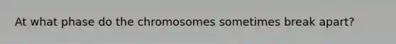 At what phase do the chromosomes sometimes break apart?