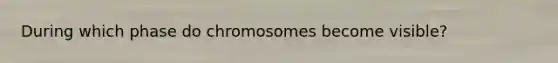 During which phase do chromosomes become visible?