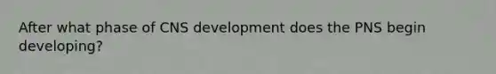 After what phase of CNS development does the PNS begin developing?