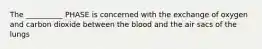 The __________ PHASE is concerned with the exchange of oxygen and carbon dioxide between the blood and the air sacs of the lungs