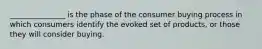 _______________ is the phase of the consumer buying process in which consumers identify the evoked set of products, or those they will consider buying.