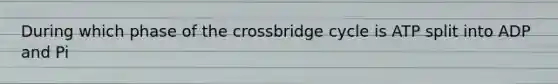 During which phase of the crossbridge cycle is ATP split into ADP and Pi