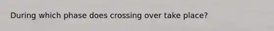 During which phase does crossing over take place?