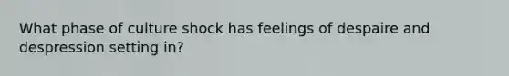 What phase of culture shock has feelings of despaire and despression setting in?