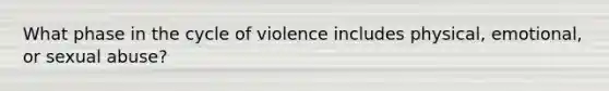 What phase in the cycle of violence includes physical, emotional, or sexual abuse?