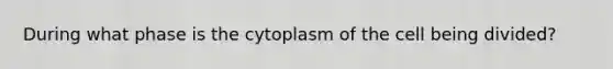 During what phase is the cytoplasm of the cell being divided?