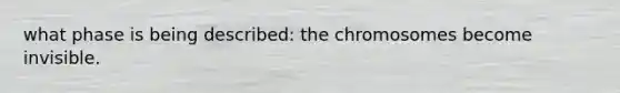what phase is being described: the chromosomes become invisible.