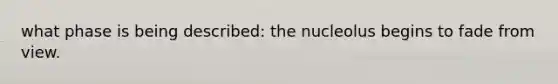 what phase is being described: the nucleolus begins to fade from view.