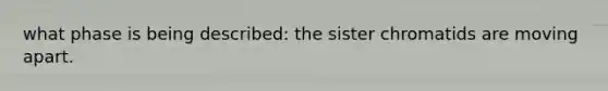 what phase is being described: the sister chromatids are moving apart.