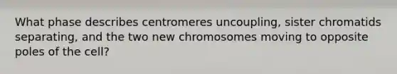 What phase describes centromeres uncoupling, sister chromatids separating, and the two new chromosomes moving to opposite poles of the cell?