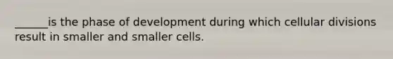 ______is the phase of development during which cellular divisions result in smaller and smaller cells.