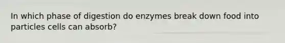 In which phase of digestion do enzymes break down food into particles cells can absorb?