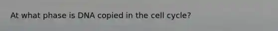 At what phase is DNA copied in the cell cycle?
