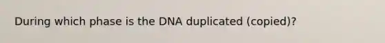 During which phase is the DNA duplicated (copied)?