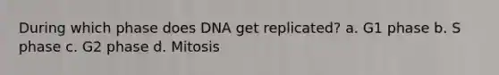 During which phase does DNA get replicated? a. G1 phase b. S phase c. G2 phase d. Mitosis