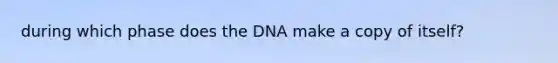 during which phase does the DNA make a copy of itself?