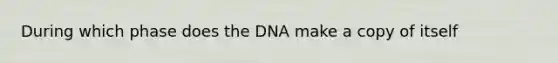 During which phase does the DNA make a copy of itself