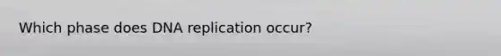 Which phase does DNA replication occur?