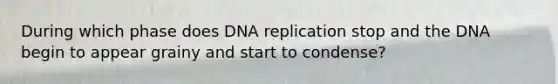 During which phase does DNA replication stop and the DNA begin to appear grainy and start to condense?