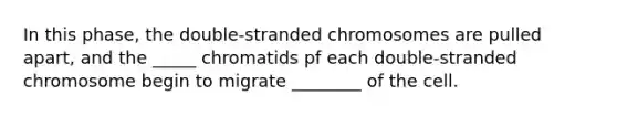 In this phase, the double-stranded chromosomes are pulled apart, and the _____ chromatids pf each double-stranded chromosome begin to migrate ________ of the cell.