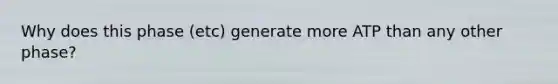 Why does this phase (etc) generate more ATP than any other phase?