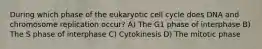 During which phase of the eukaryotic cell cycle does DNA and chromosome replication occur? A) The G1 phase of interphase B) The S phase of interphase C) Cytokinesis D) The mitotic phase