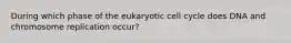 During which phase of the eukaryotic cell cycle does DNA and chromosome replication occur?