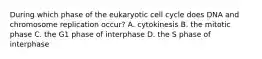 During which phase of the eukaryotic cell cycle does DNA and chromosome replication occur? A. cytokinesis B. the mitotic phase C. the G1 phase of interphase D. the S phase of interphase