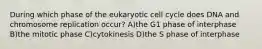 During which phase of the eukaryotic cell cycle does DNA and chromosome replication occur? A)the G1 phase of interphase B)the mitotic phase C)cytokinesis D)the S phase of interphase