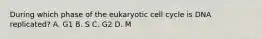 During which phase of the eukaryotic cell cycle is DNA replicated? A. G1 B. S C. G2 D. M