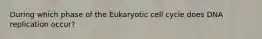 During which phase of the Eukaryotic cell cycle does DNA replication occur?