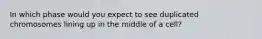 In which phase would you expect to see duplicated chromosomes lining up in the middle of a cell?
