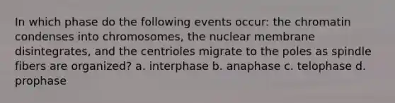 In which phase do the following events occur: the chromatin condenses into chromosomes, the nuclear membrane disintegrates, and the centrioles migrate to the poles as spindle fibers are organized? a. interphase b. anaphase c. telophase d. prophase